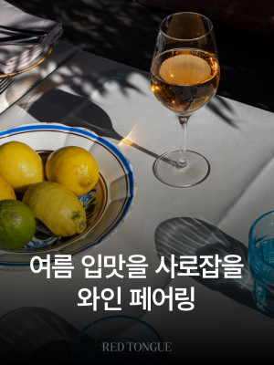 250725_여름을 위한 레드와인