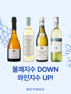 250814_불쾌지수 DOWN, 와인지수 UP